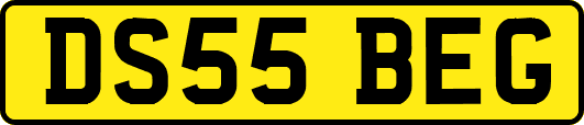 DS55BEG