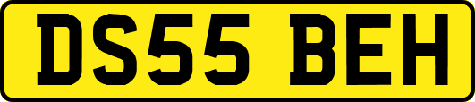 DS55BEH