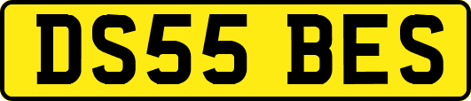 DS55BES