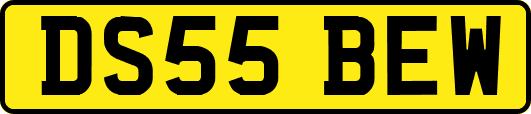 DS55BEW