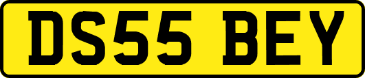 DS55BEY