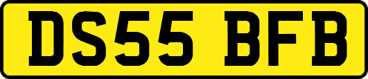 DS55BFB