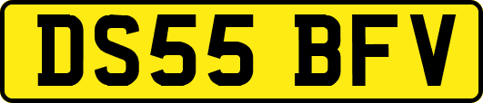 DS55BFV