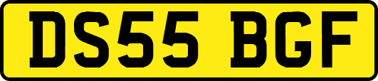DS55BGF