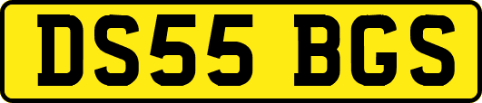 DS55BGS