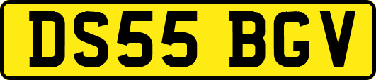 DS55BGV