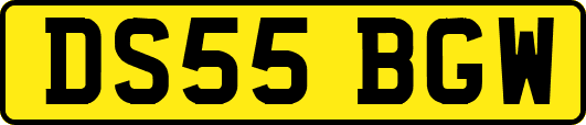 DS55BGW