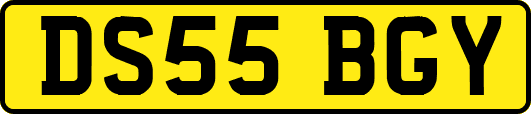 DS55BGY