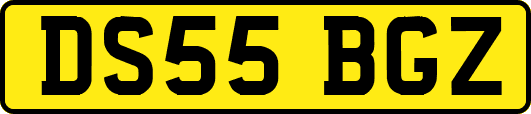 DS55BGZ