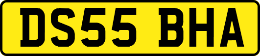 DS55BHA