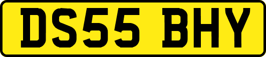 DS55BHY