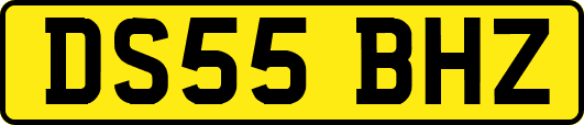 DS55BHZ