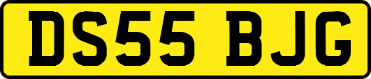 DS55BJG