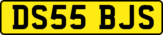 DS55BJS