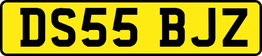 DS55BJZ