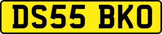 DS55BKO