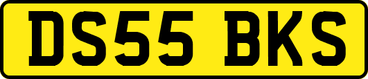 DS55BKS