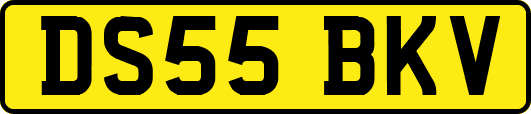 DS55BKV