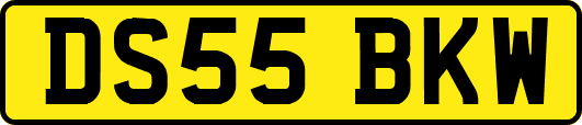 DS55BKW
