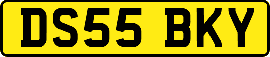 DS55BKY