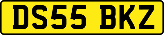DS55BKZ