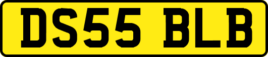 DS55BLB