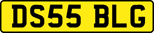 DS55BLG