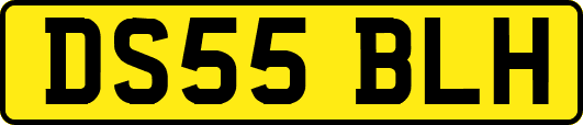 DS55BLH