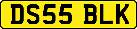 DS55BLK