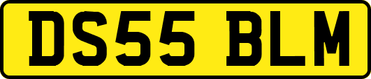 DS55BLM