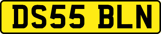 DS55BLN