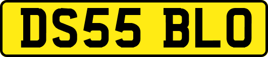 DS55BLO