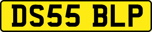 DS55BLP