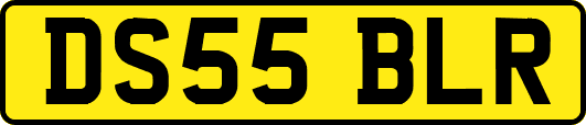 DS55BLR
