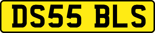 DS55BLS