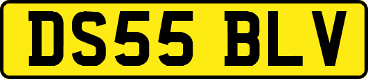 DS55BLV
