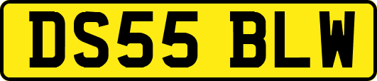 DS55BLW