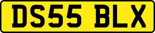 DS55BLX