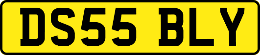 DS55BLY