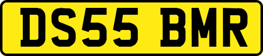 DS55BMR