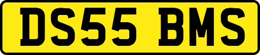 DS55BMS