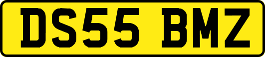 DS55BMZ