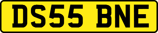 DS55BNE