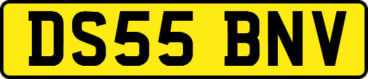 DS55BNV