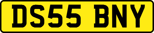 DS55BNY