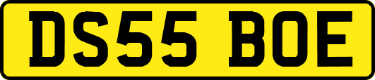 DS55BOE
