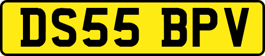 DS55BPV