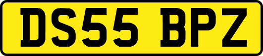 DS55BPZ