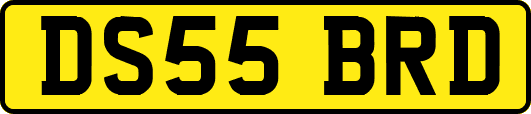 DS55BRD