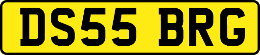 DS55BRG